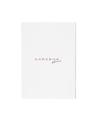 Santa Please Card Pack (3) - Caresha Please LLC 